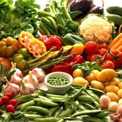 Betriebliche Gesundheitsförderung -betriebliche Gesundheitsprogramme: Ernährung, Gewichtsprobleme - Vorträge und Seminare - The Good Solution GmbH - www.the-good-solution.com Betriebliche Gesundheitsförderung -betriebliche Gesundheitsprogramme: Ernährung, Gewichtsprobleme - Vorträge und Seminare - The Good Solution GmbH - www.the-good-solution.com